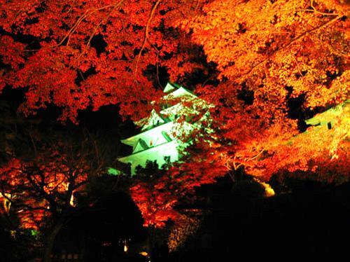 旅館 あさのホテル 郡上市 エクステリア 写真